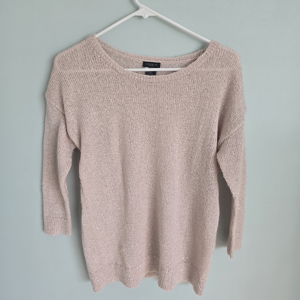 Ann Taylor Factory Sweater medium